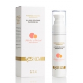 Универсальный массажный гель-смазка Allover Delicious Massage Gel с ароматом персика и аброкоса - 50 мл. - YESforLOV - купить с доставкой в Самаре