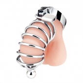 Серебристая клетка для члена Urethral Play Cage - BlueLine - купить с доставкой в Самаре