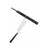 Кожаный двухслойный ошейник с белой строчкой и поводком - Pecado - купить с доставкой в Самаре