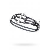 Черный кожаный пояс с кольцами - Pecado - купить с доставкой в Самаре