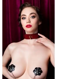 Красный ошейник из лакированного материала - ToyFa - купить с доставкой в Самаре