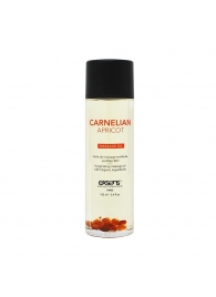 Органическое массажное масло CARNELIAN APRICOT - 100 мл. - Exsens - купить с доставкой в Самаре