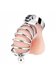 Серебристая клетка для члена Urethral Play Cage - BlueLine - купить с доставкой в Самаре