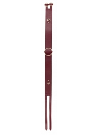 Бордовый ремень Halo Waist Belt - размер L-XL - Shots Media BV - купить с доставкой в Самаре