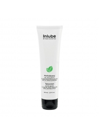 Водный лубрикант Nuei Inlube с алоэ вера и ароматом мяты - 100 мл. - Nuei cosmetics - купить с доставкой в Самаре