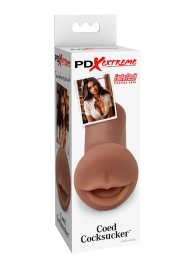 Мастурбатор-ротик Coed Cocksucker - Pipedream - в Самаре купить с доставкой