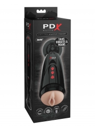 Мастурбатор-вагина с вибрацией Dirty Talk Starter Stroker - Pipedream - в Самаре купить с доставкой