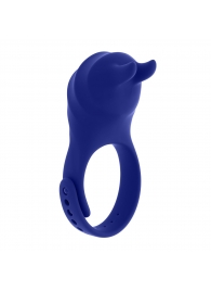 Синее эрекционное виброкольцо с клиторальной подушечкой и пультом ДУ Adjustable Fun Ring - Zero Tolerance - в Самаре купить с доставкой