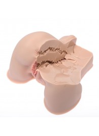 Мастурбатор-полуторс Naked Factory Kate - Naked Factory - в Самаре купить с доставкой