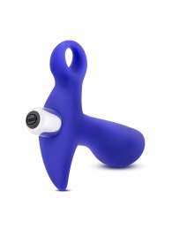 Синий стимулятор простаты с ручкой-кольцом Performance Prostimulator 02 - Blush Novelties - в Самаре купить с доставкой