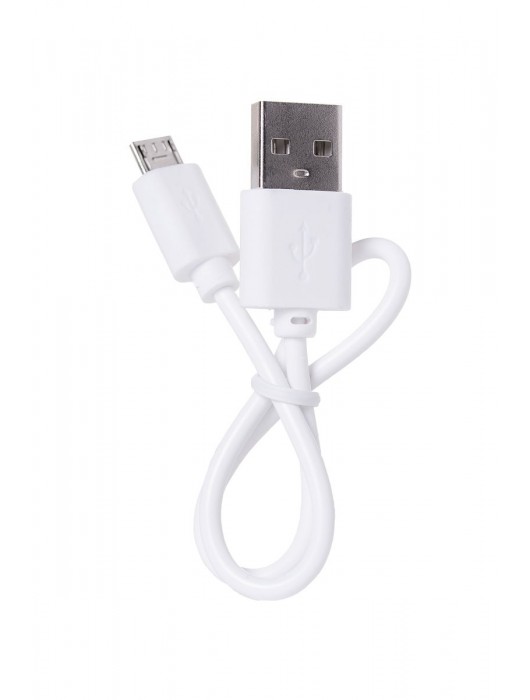 Портативное зарядное устройство A-toys 2400 mAh microUSB - A-toys - купить с доставкой в Самаре