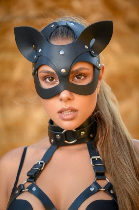 Эффектная маска кошки Ladys Arsenal с ушками - БДСМ Арсенал - купить с доставкой в Самаре