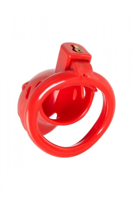 Красный мужской пояс верности из пластика - ToyFa - купить с доставкой в Самаре