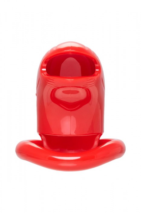 Красный мужской пояс верности из пластика - ToyFa - купить с доставкой в Самаре