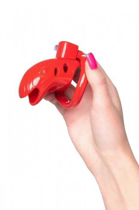 Красный мужской пояс верности из пластика - ToyFa - купить с доставкой в Самаре