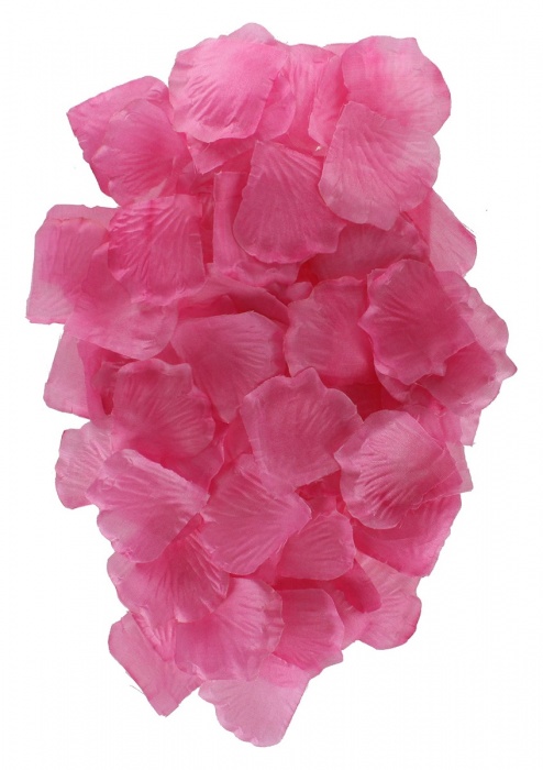 Эротический набор FANTASTIC PURPLE SEX TOY KIT - Toy Joy - купить с доставкой в Самаре