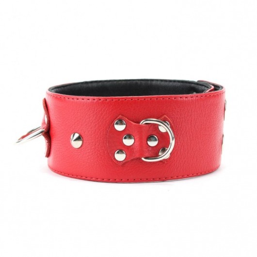 Красный кожаный ошейник с короткими шипами - БДСМ Арсенал - купить с доставкой в Самаре