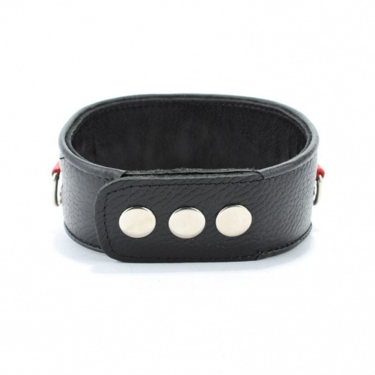 Кожаный ошейник с металлическими клепками - БДСМ Арсенал - купить с доставкой в Самаре