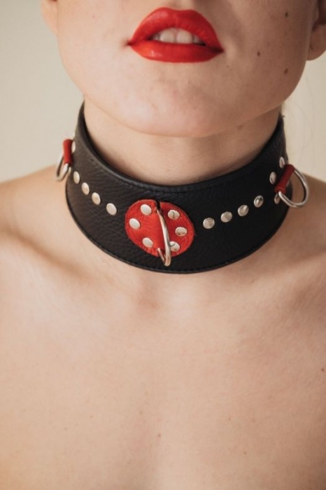 Кожаный ошейник с металлическими клепками - БДСМ Арсенал - купить с доставкой в Самаре
