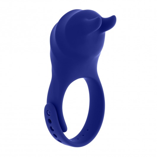 Синее эрекционное виброкольцо с клиторальной подушечкой и пультом ДУ Adjustable Fun Ring - Zero Tolerance - в Самаре купить с доставкой