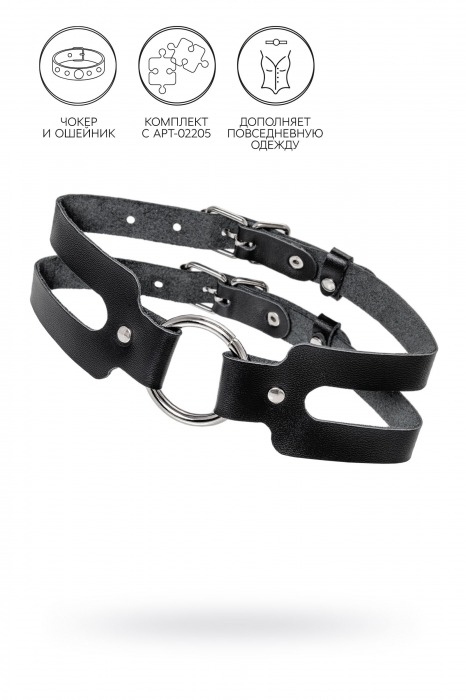 Черный кожаный чокер-ошейник из двух ремешков - Pecado - купить с доставкой в Самаре