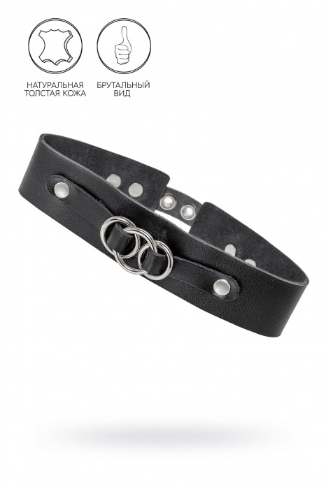 Черный чокер-ошейник со связанными кольцами на подложке - Pecado - купить с доставкой в Самаре