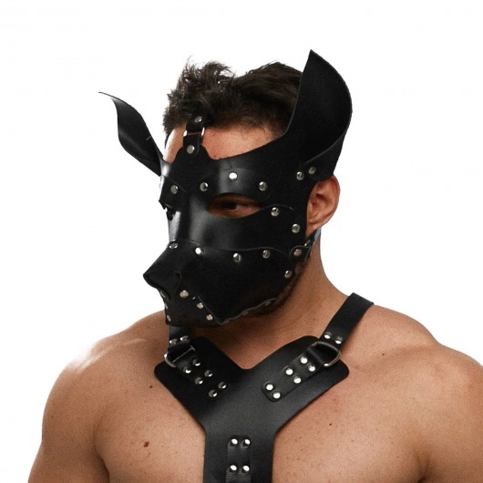Черная кожаная маска «Собака» - Crazy Handmade - купить с доставкой в Самаре