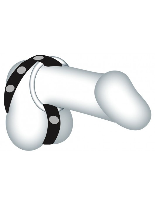 Подхват для мошонки с 3 съемными эрекционными кольцами Leder-Riemen - Orion - в Самаре купить с доставкой