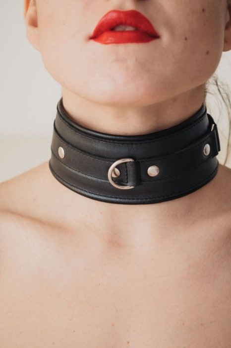 Ошейник из гладкой кожи - БДСМ Арсенал - купить с доставкой в Самаре