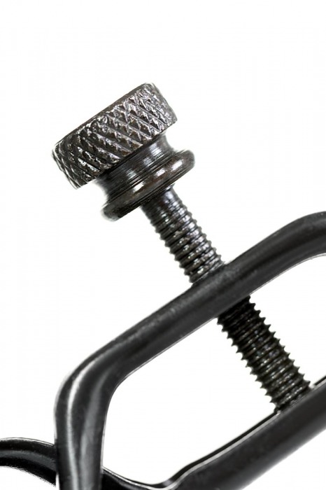 Черно-золотистые зажимы для сосков TOYFA Theatre - ToyFa - купить с доставкой в Самаре