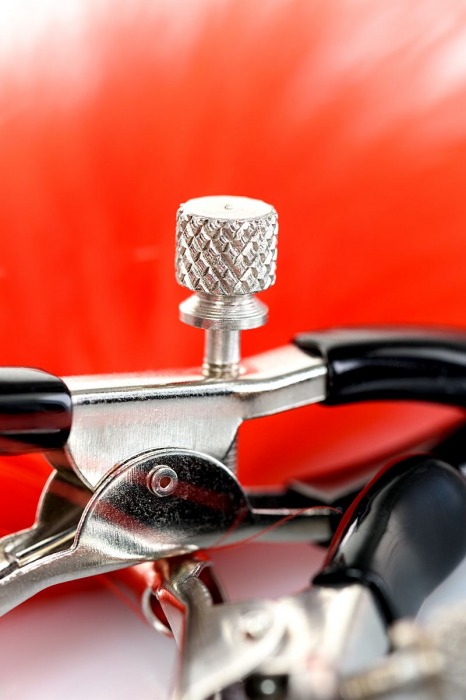 Зажимы для сосков с красным пухом Theatre - ToyFa - купить с доставкой в Самаре